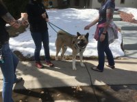 IMG_1125 copy.jpg