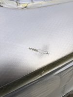 IMG_2571.jpeg