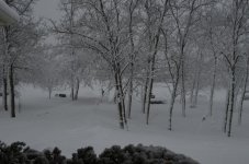 DSC_1046.jpg