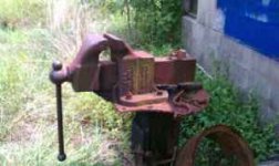 Reed 109 (2).jpg