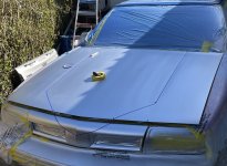 IMG_6094.jpeg