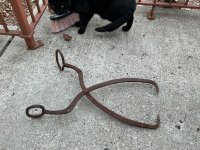 IMG_1513.jpeg