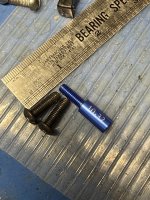 IMG_5979.jpeg IMG_5979.jpeg