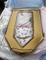 IMG_6234.jpeg