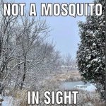 IMG_6070.jpeg