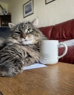 IMG_6272.jpeg