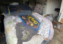 IMG_6273.jpeg