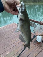 IMG_0305.jpeg