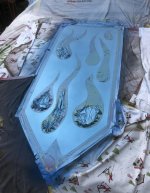 IMG_3075.jpeg