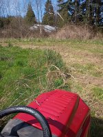 IMG_20260405_121657568.jpg