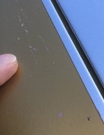 IMG_3165.jpeg