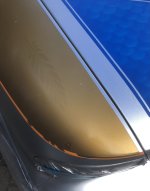 IMG_3173.jpeg