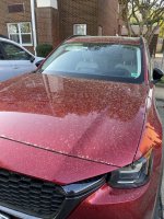 IMG_8596.jpeg