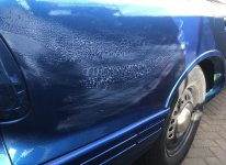 IMG_3331.jpeg