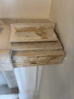 IMG_5932.jpeg