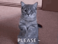 IMG_6768.gif