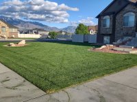 yard1.jpg yard1.jpg