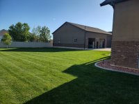 yard5.jpg yard5.jpg
