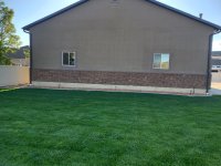 yard7.jpg yard7.jpg