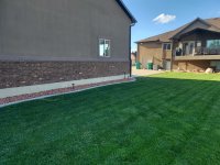 yard8.jpg yard8.jpg