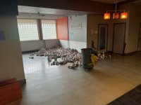 bowling 5.jpg