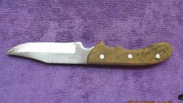 Huntsman 2 r.jpg Huntsman 2 r.jpg