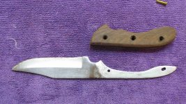 Huntsman 6 r.jpg Huntsman 6 r.jpg
