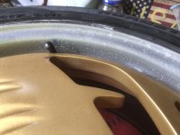 IMG_3445.jpeg