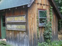 the shed vines.jpg