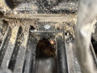 IMG_0132.jpeg