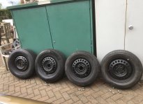 IMG_3653.jpeg