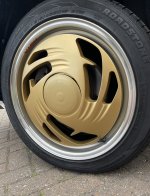 IMG_6663.jpeg