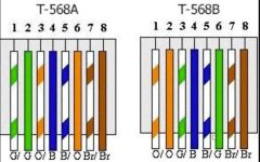 568.jpg