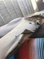 IMG_3779.jpeg
