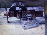 IMG_2942.jpeg