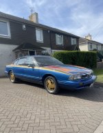 IMG_6909.jpeg