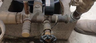 1000003370.jpg