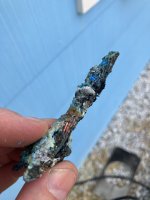 IMG_9223.jpeg