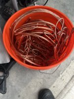 IMG_2423.jpeg IMG_2423.jpeg