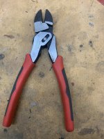 IMG_2393.jpeg
