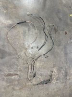 55238537129_57cf57439c_b.jpg