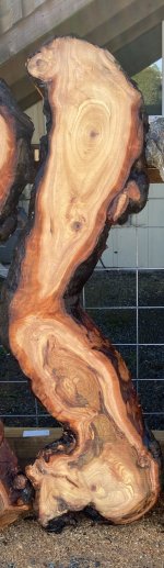 IMG_6429~2.jpeg