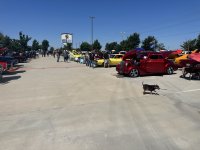 IMG_1313.jpeg IMG_1313.jpeg