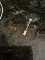 IMG_0601.jpeg