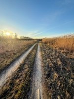 IMG_7598-EDIT.jpg