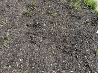 IMG_1007.jpeg