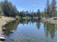 IMG_6553.jpeg