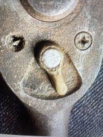 IMG_1020.jpeg