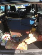 IMG_5045.jpeg