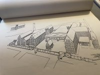 IMG_3913.jpeg